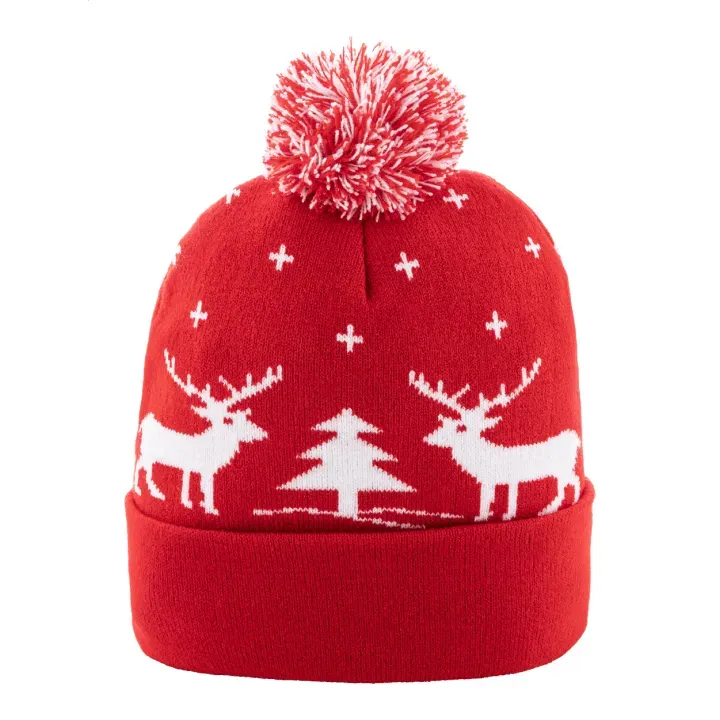 Christmas winter hat - AP800221 (ANDA#05)